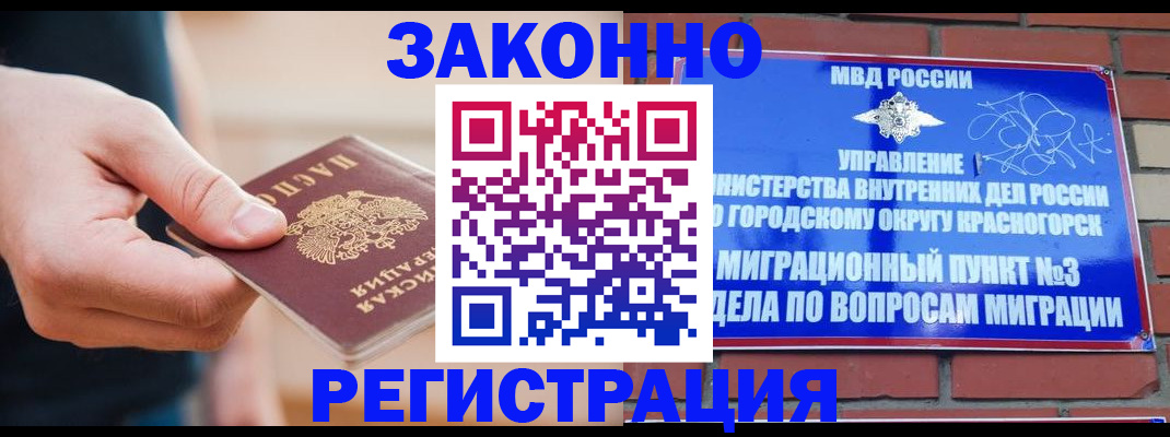 прописка для работы в Кингисеппе