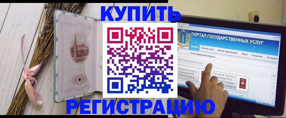 прописка поиск в Кингисеппе